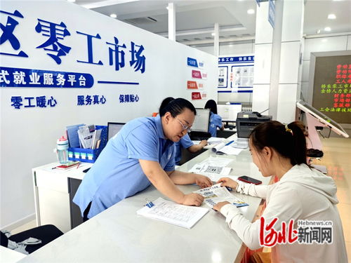 張家口 織密信息服務網，搭建高效供需橋